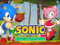 Leikur Sonic: Falið Dýrmætir á netinu