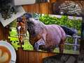 Leikur Jigsaw Puzzl Hesta Útgáfa á netinu