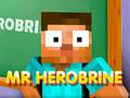 Leikur Herobrine Herra á netinu