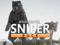 Leikur Vill Veiðimaður Sniper á netinu