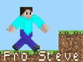 Leikur Pro Steve á netinu