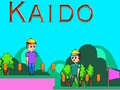 Leikur Kaido á netinu