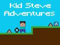 Leikur Ävintýri Kid Steves á netinu