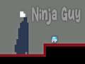 Leikur Ninja Strákur á netinu