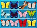 Leikur Mahjong-kóngurinn á netinu