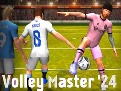 Leikur Volley Meister '24 á netinu