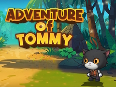 Leikur Ävintýri Tommy á netinu